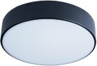 Потолочный светильник Loft It 10002/12 Black