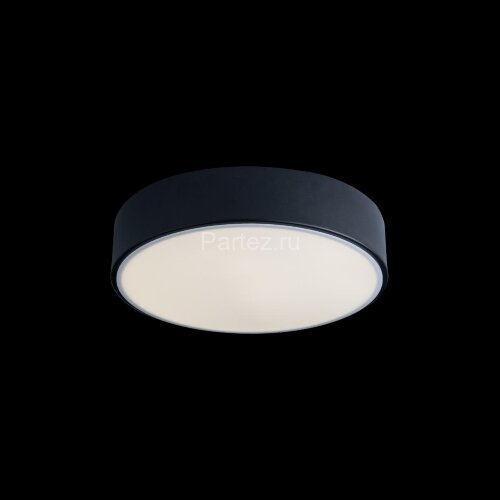 Потолочный светильник Loft It 10002/12 Black
