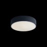 Потолочный светильник Loft It 10002/12 Black