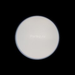 Потолочный светильник Loft It 10002/12 Black