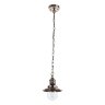 Подвесной светильник Arte Lamp A4524SP-1AB