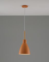 Подвесной светильник Moderli V10650-1P