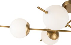 Потолочная люстра Freya FR5205PL-06BS