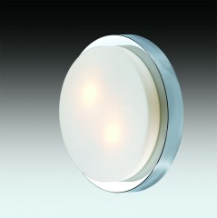 Настенно-потолочный светильник Odeon Light 2746/2C