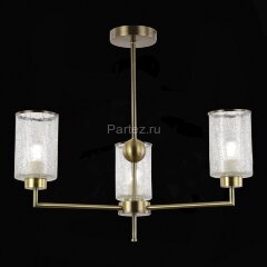 Потолочная люстра Evoluce SLE1046-302-03