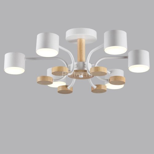 Потолочная люстра Lumion 8231/6C