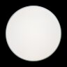 Потолочный светильник Loft It 10001/36 Green