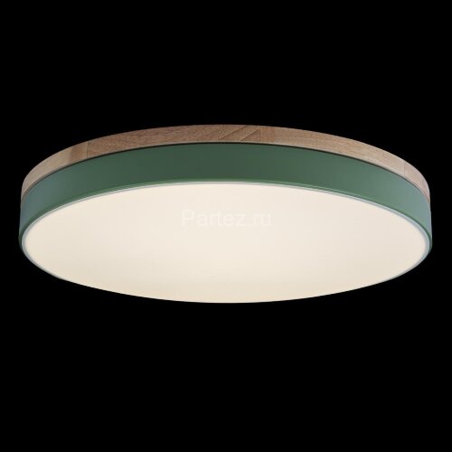 Потолочный светильник Loft It 10001/36 Green
