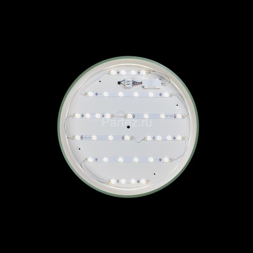 Потолочный светильник Loft It 10001/36 Green