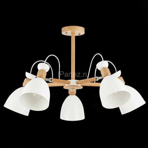 Потолочная люстра Evoluce SLE103802-05