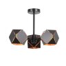 Потолочная люстра ST Luce SL258.402.03