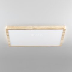 Настенно-потолочный светильник Citilux CL738K502V