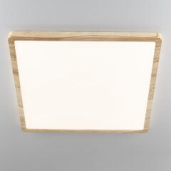 Настенно-потолочный светильник Citilux CL738K502V