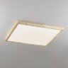 Настенно-потолочный светильник Citilux CL738K502V
