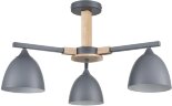 Потолочная люстра Lumion 8096/3C