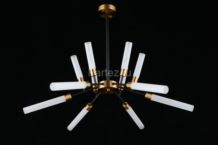 Потолочная люстра Aployt APL.604.07.12