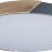 Потолочный светильник Loft It 10004/36 Grey