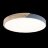 Потолочный светильник Loft It 10004/36 Grey