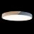 Потолочный светильник Loft It 10004/36 Grey