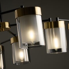 Потолочная люстра Freya FR5432PL-08BBS