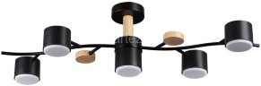 Потолочная люстра Lumion 8194/5C