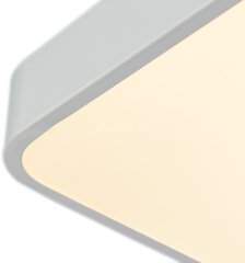 Потолочный светильник Arte Lamp A2663PL-1WH