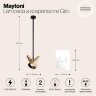 Потолочная люстра Maytoni MOD095PL-02BS