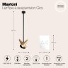 Потолочная люстра Maytoni MOD095PL-02BS