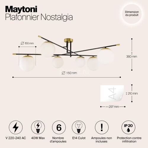 Потолочная люстра Maytoni MOD048CL-06G
