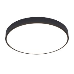 Потолочный светильник Arte Lamp A2672PL-1BK