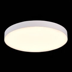 Потолочный светильник ST Luce ST606.532.96