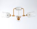 Потолочная люстра Ambrella TR303321