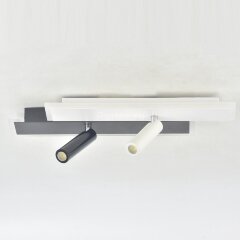 Настенно-потолочный светильник Escada 20047SMA/01LED WH/BK
