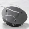 Подвесная люстра Lussole Loft LSP-8391