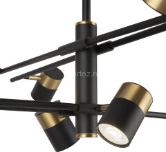 Потолочная люстра Freya FR5201PL-10B