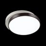 Потолочный светильник Lumion 4509/72CL