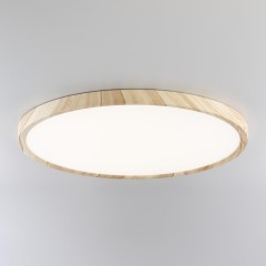 Настенно-потолочный светильник Citilux CL738322V