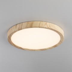 Настенно-потолочный светильник Citilux CL738182V