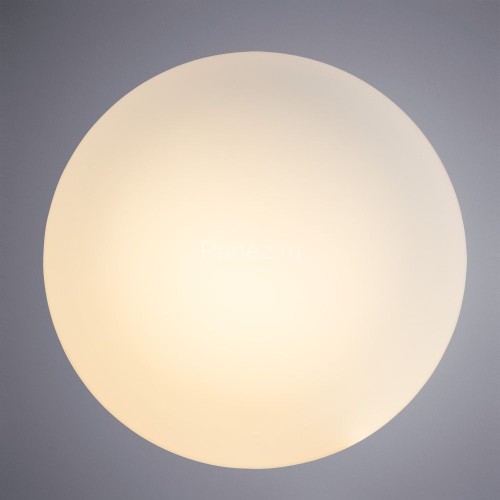Настенно-потолочный светильник Arte Lamp A7925AP-1WH