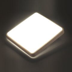 Настенно-потолочный светильник Sonex 7608/AL