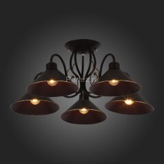 Потолочная люстра Evoluce SLE120402-05