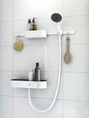 Крючок Hansgrohe WallStoris, Черный матовый (27914670)