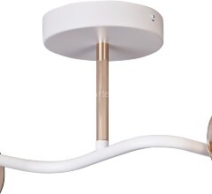 Потолочная люстра ILLUMICO IL8148-2COU-79 WH GD Bice