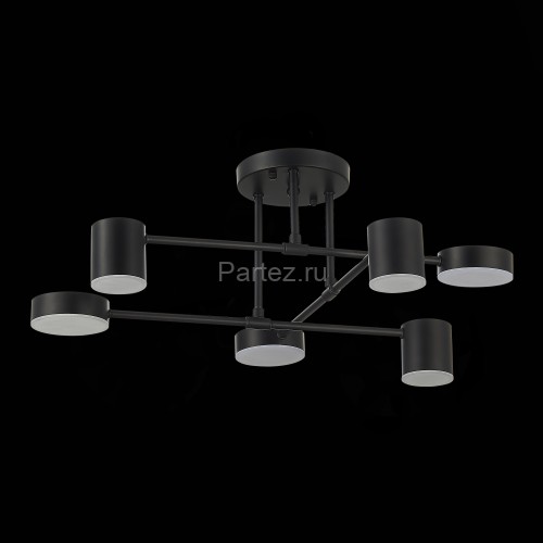 Потолочная люстра Evoluce SLE201042-06