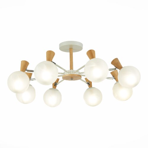 Потолочная люстра Evoluce SLE220702-08