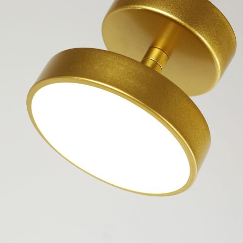 Потолочный светильник F-Promo 3059-1P