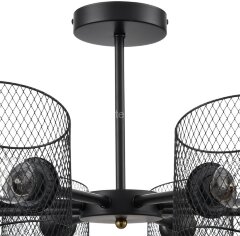 Потолочная люстра Lumion 8238/8C