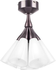 Потолочная люстра Lightstar 757070