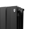 Биметаллический радиатор Royal Thermo PianoForte  500/100-10 (NoirSable)