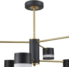 Потолочная люстра Lumion 8240/6C